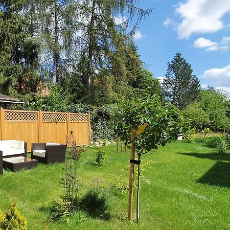 Pineapple Apartments Dresdner Heide Mit Garten Dresden Eksteriør bilde